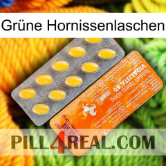 Grüne Hornissenlaschen new05